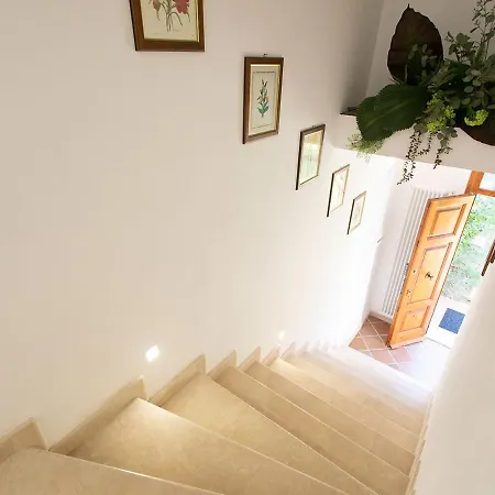 Apartman Santa Chiara