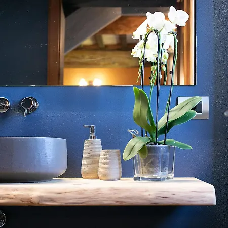 Santa Chiara * シエーナ