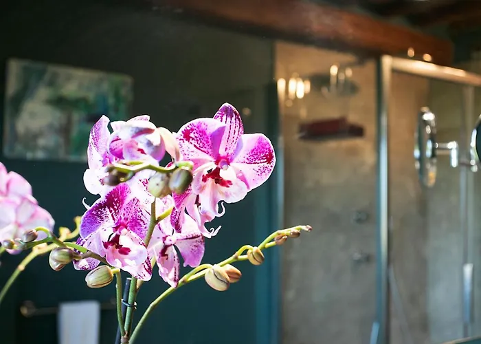 Santa Chiara סיינה